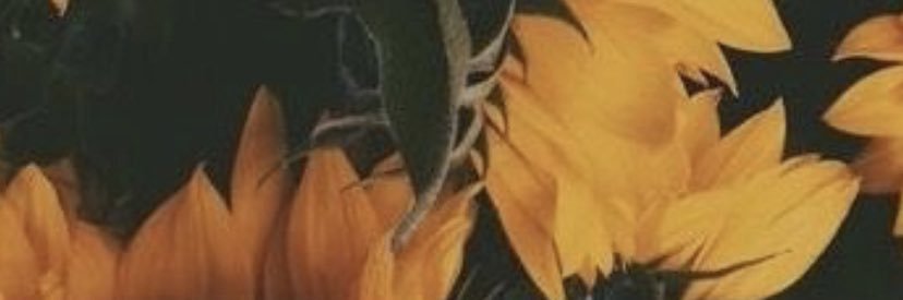 BreAngelec's profile banner image