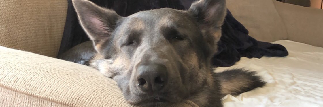 nataleesharon's profile banner image