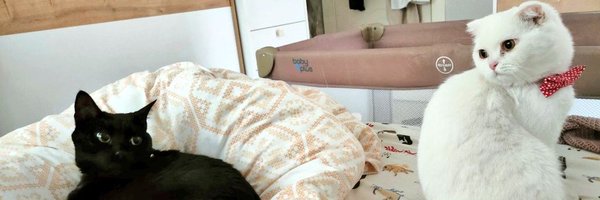 Sefmiomm Profile Banner