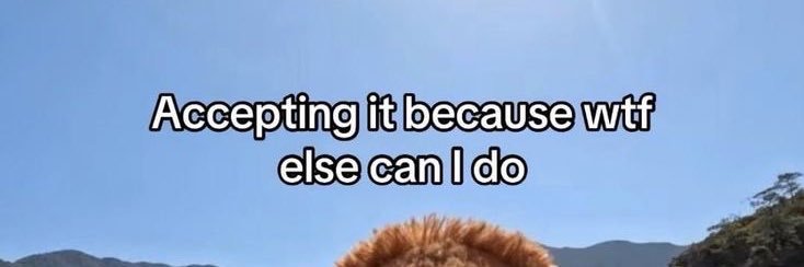 donttexttohim's profile banner image