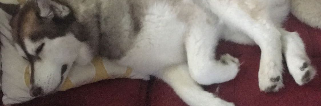 BigBounceee's profile banner image