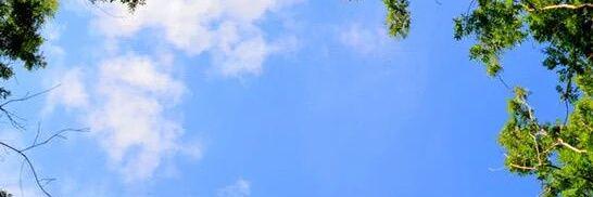 __Abdalh's profile banner image