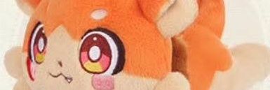 Wanko banner