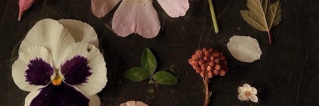 makkuoro's profile banner image