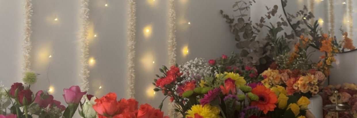 d. banner
