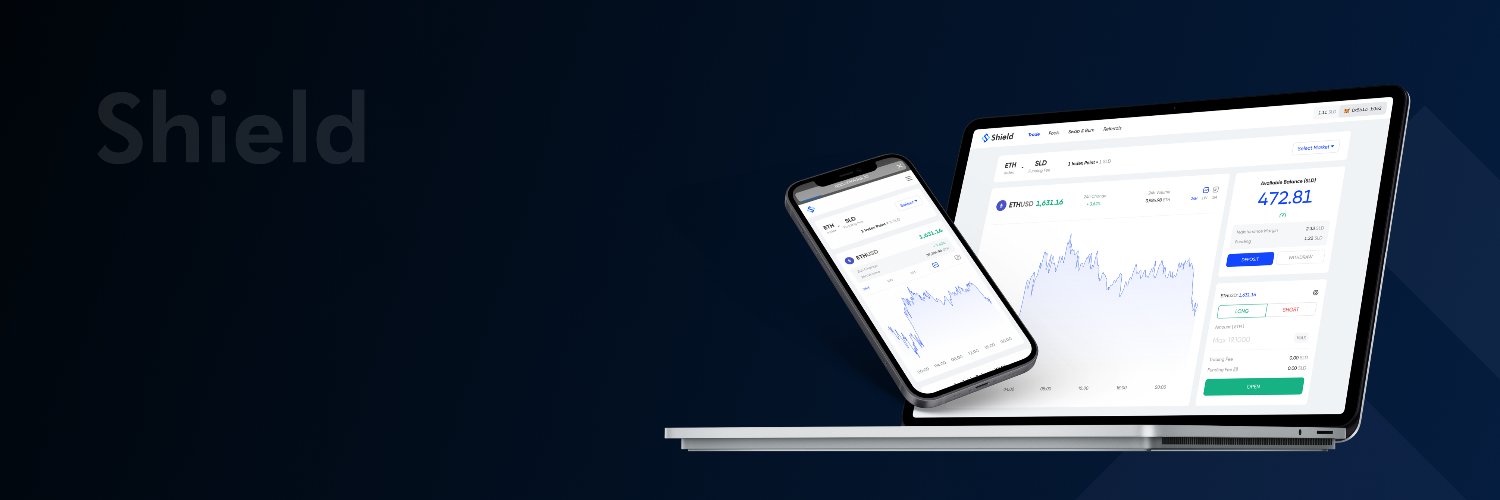 shield_dao's profile banner image