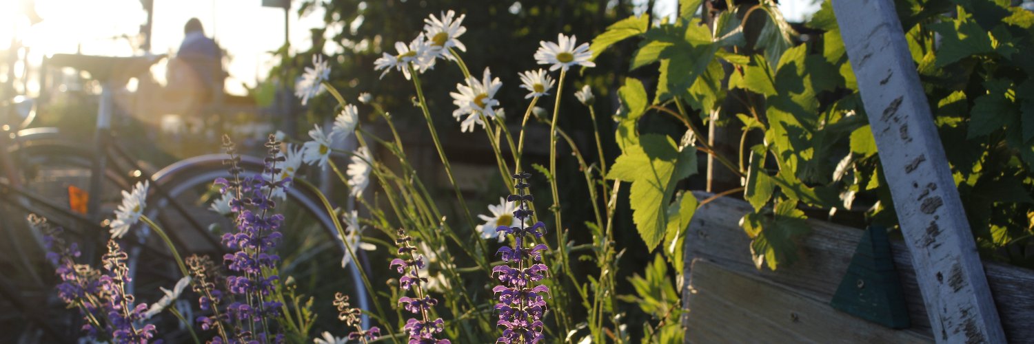 Feld Food Forest banner