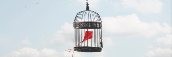 cigmund1 Profile Banner