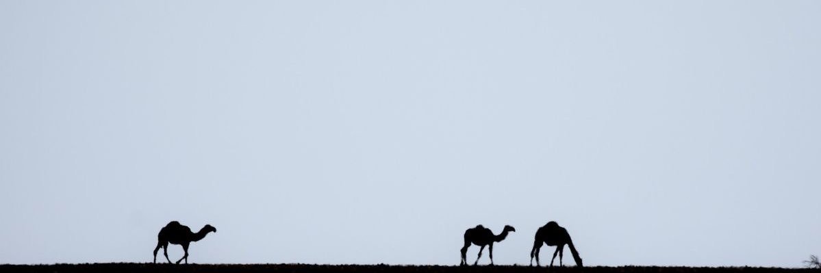 ِ banner