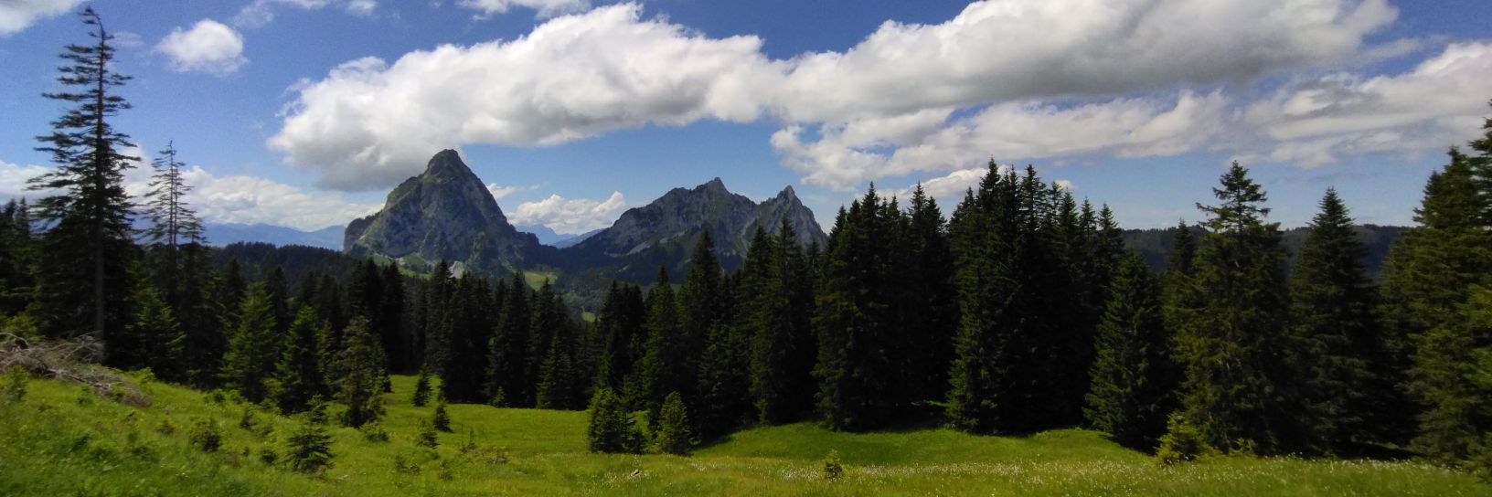 Anna Leuteritz banner