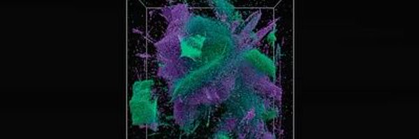 2chimp_eth Profile Banner