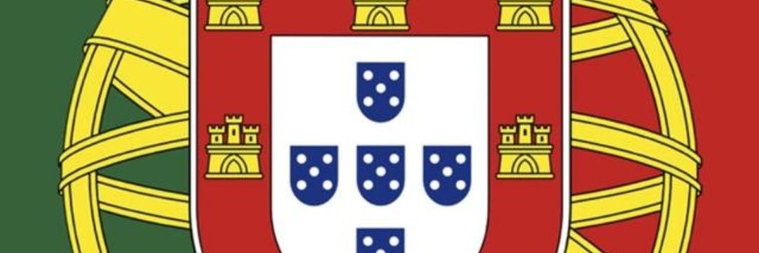 Força Aérea Portuguesa banner