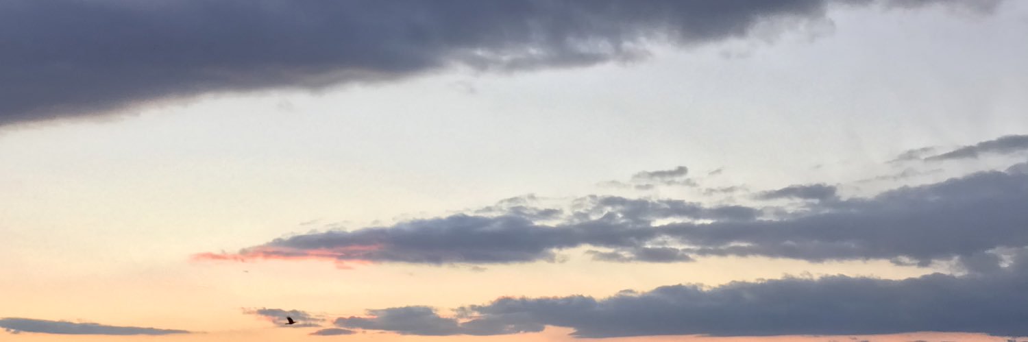 LoveLayfon's profile banner image
