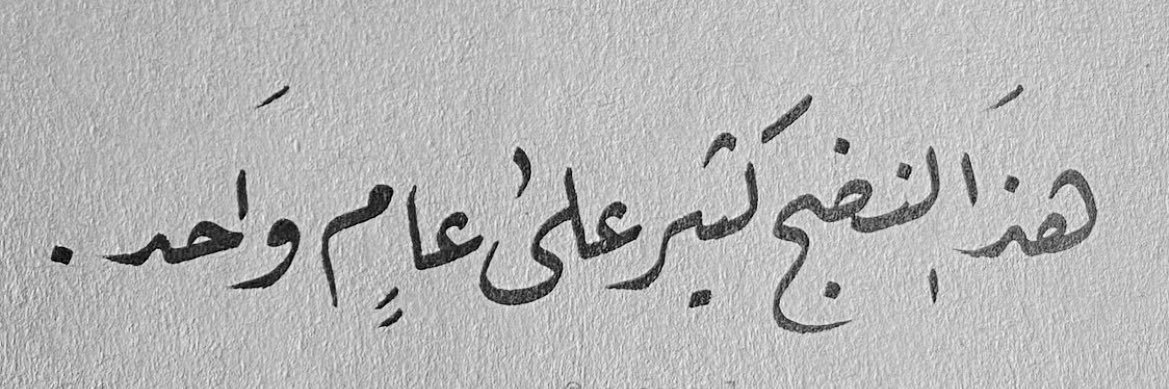 NoonaHT_itfc's profile banner image