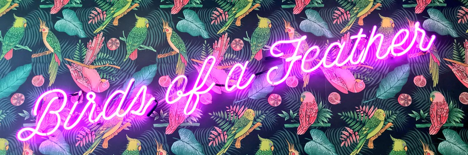 jen_lederman's profile banner image