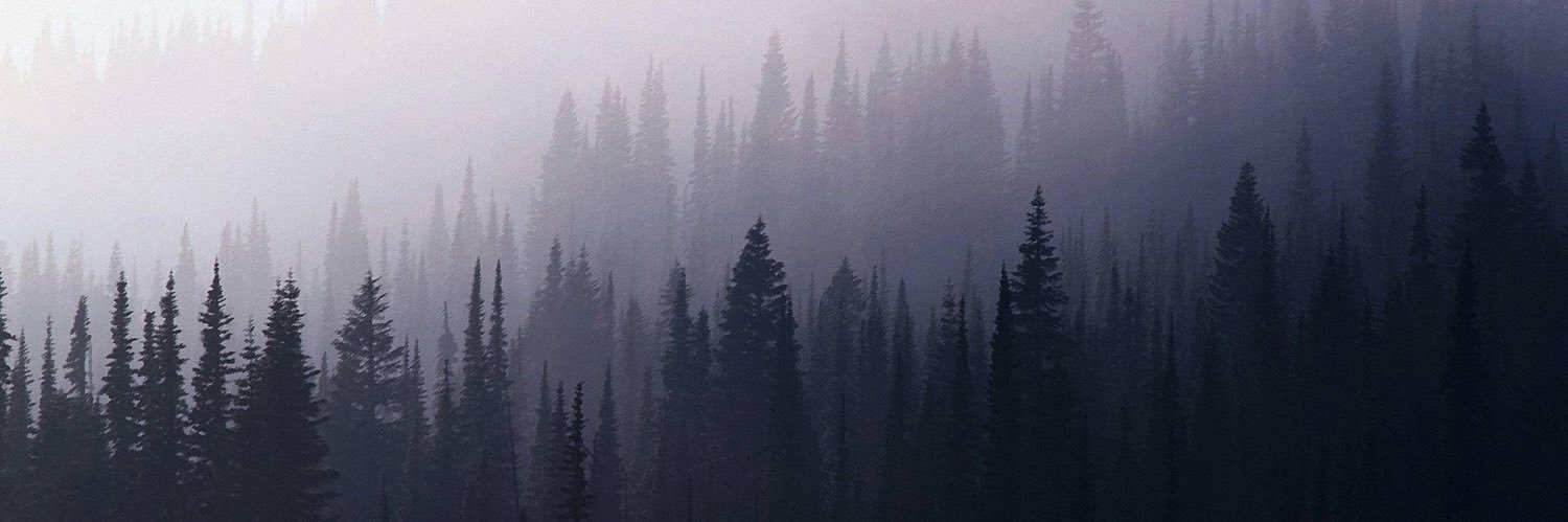 djavner's profile banner image