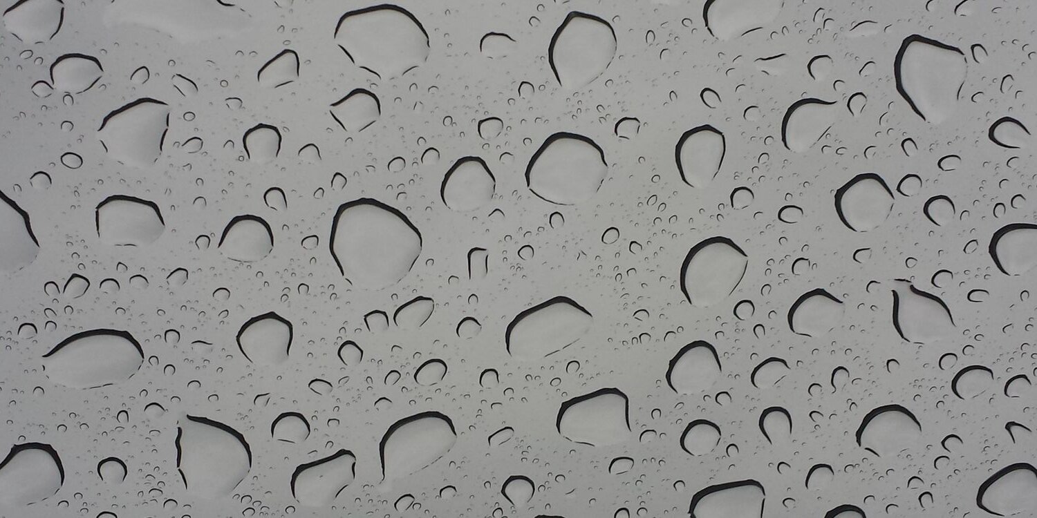 WPatrickEdison's profile banner image