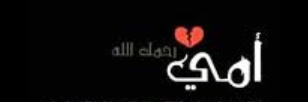 زهرة الأقحوان🌻 " banner