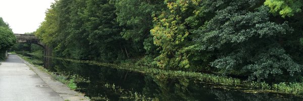 benmschneider Profile Banner