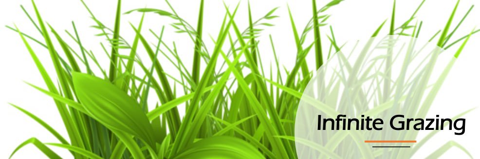 Infinite Grazing banner