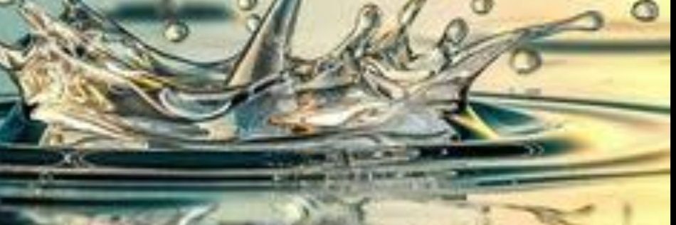 SurpriseRISE's profile banner image