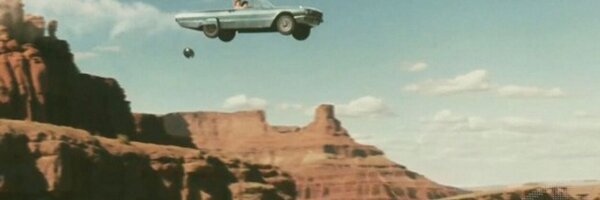 Bloei Profile Banner