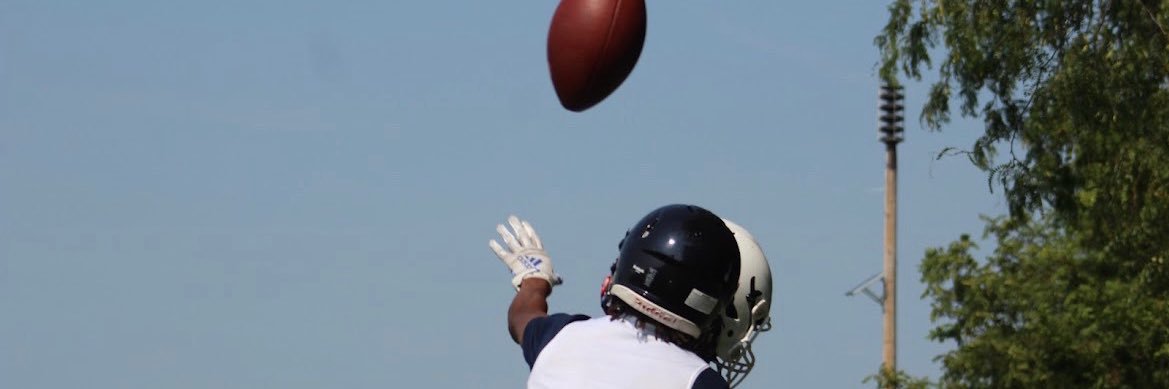 Ralo Hogan banner