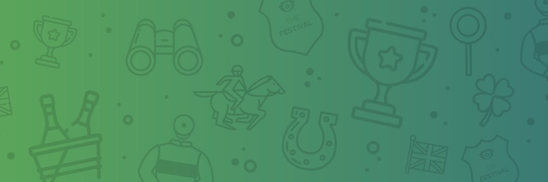 Cheltenham Festival Fans banner