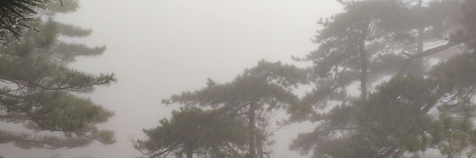 studiocpp's profile banner image