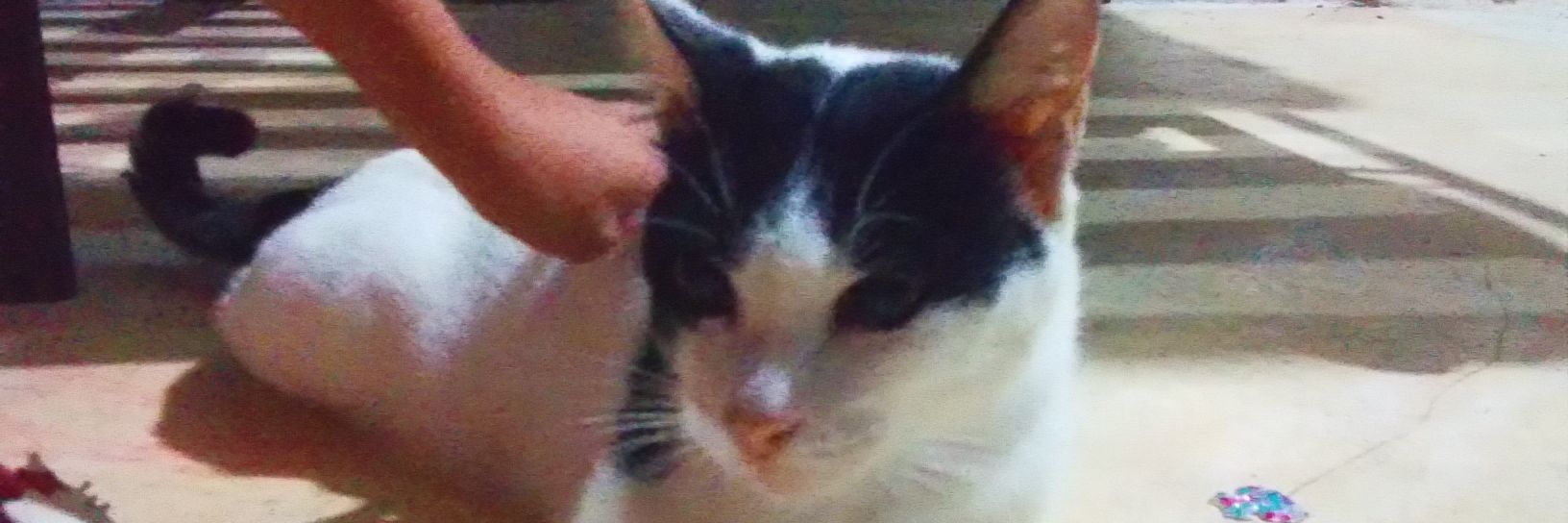 Izzy74860319's profile banner image