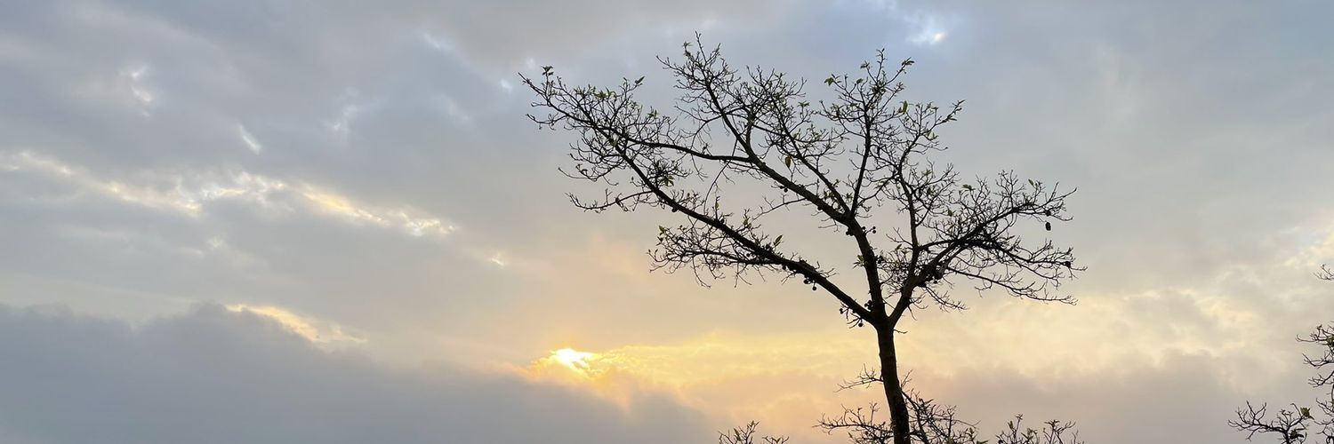 BS41765263's profile banner image