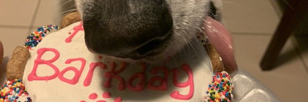 DogsBirthdays Profile Banner