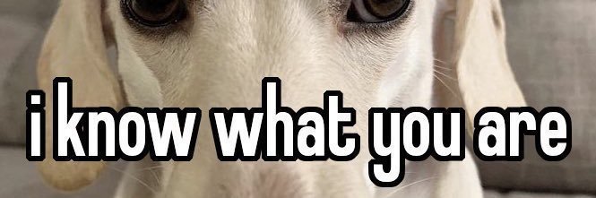 kae #jenleist! banner