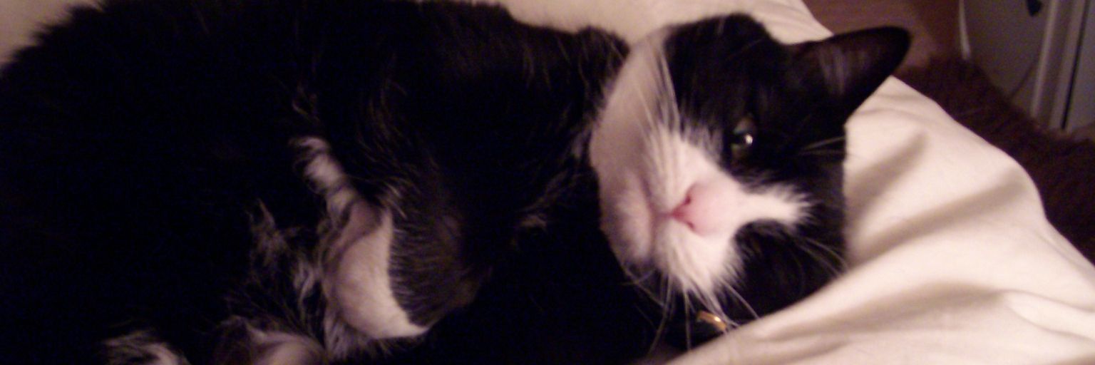 Mac74Mac's profile banner image