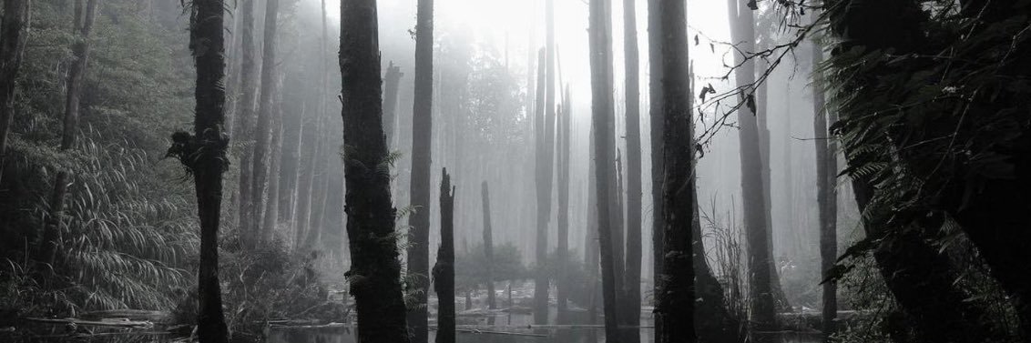 findshimselfbetweenhiswords banner