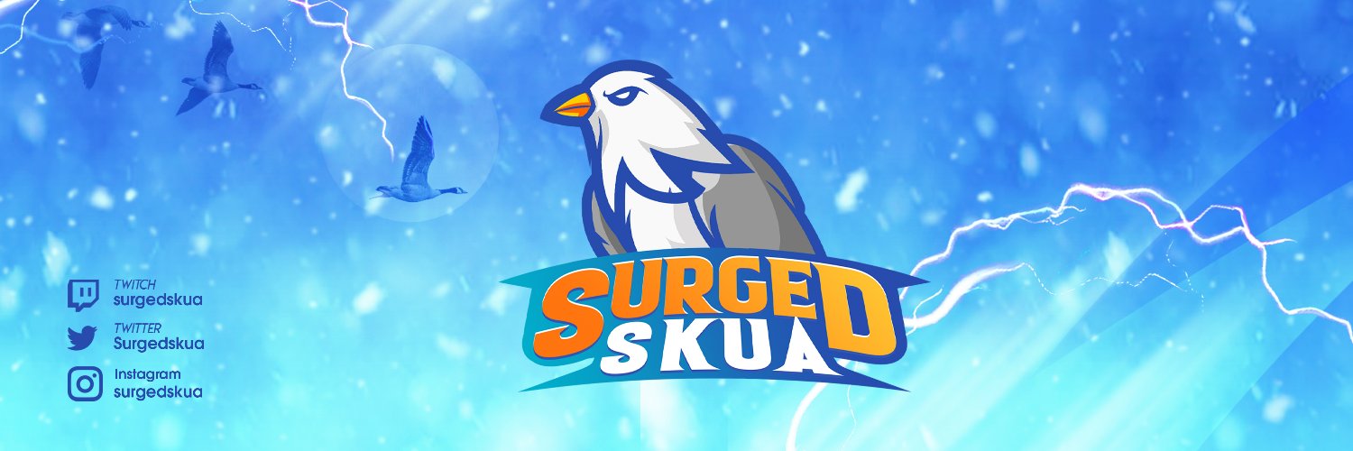 Surgedskua's profile banner image