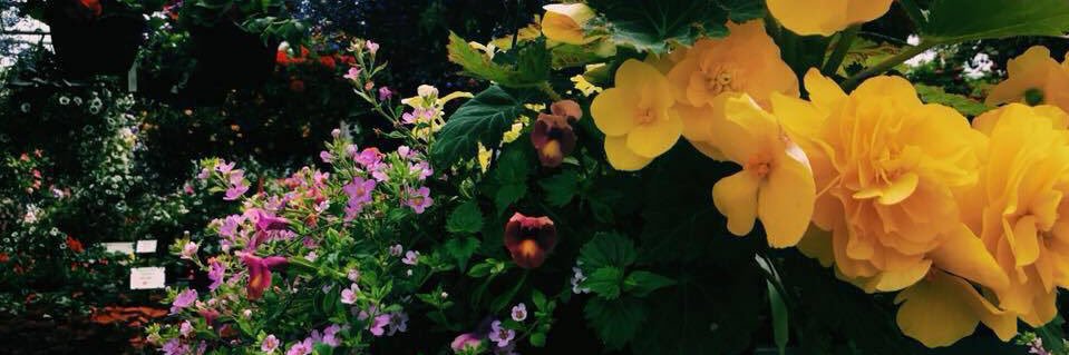 milaamac's profile banner image