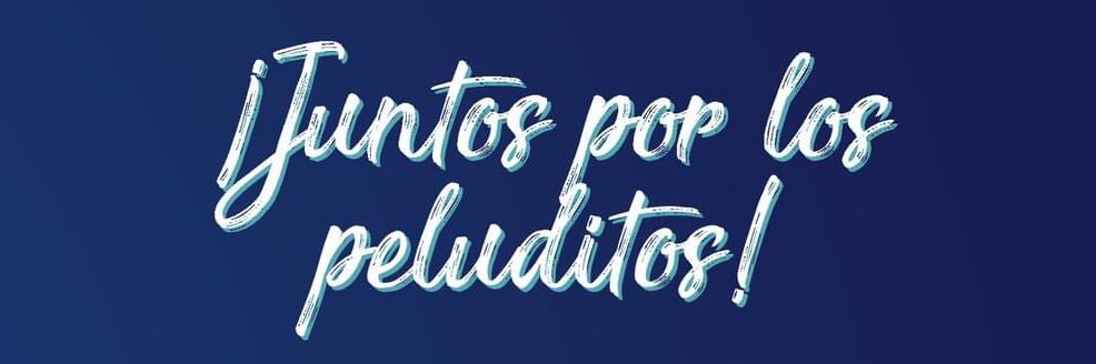 patapatrullapy's profile banner image