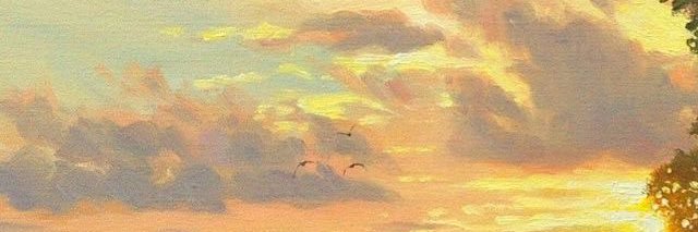 lin95r's profile banner image