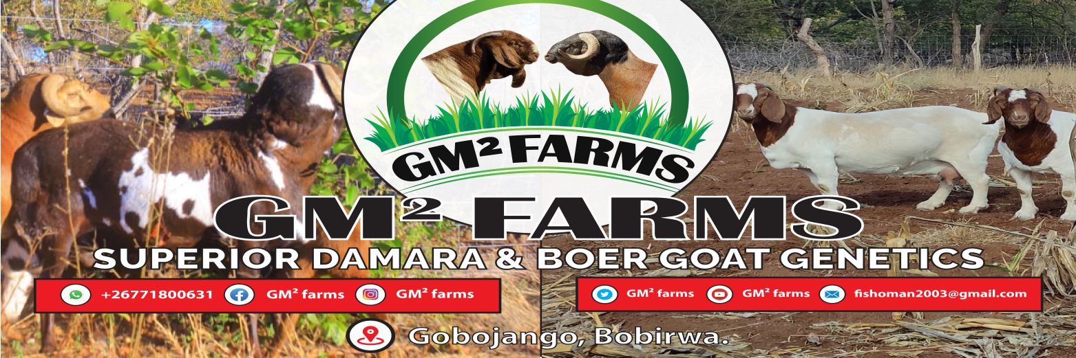 GM² Farms banner