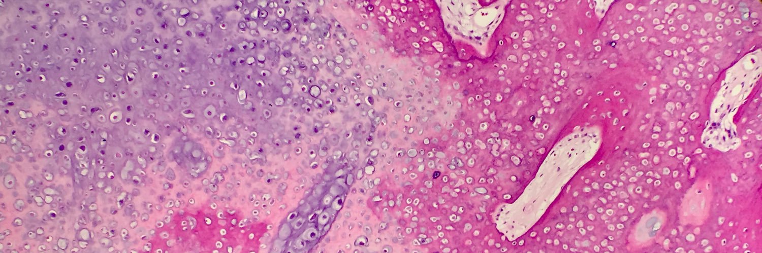 NRiddleMD's profile banner image
