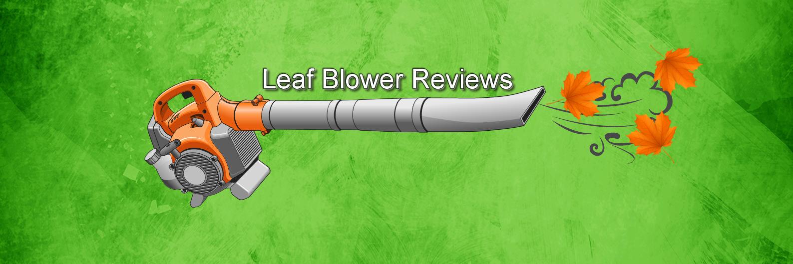 LeafBlower99's profile banner image