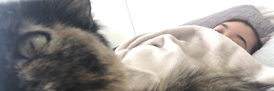 n0diaaa's profile banner image