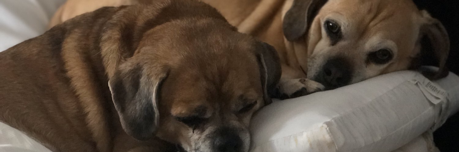 BHeagen's profile banner image