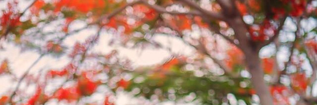 Ntyadav59's profile banner image