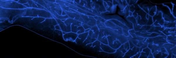 LabMachado Profile Banner