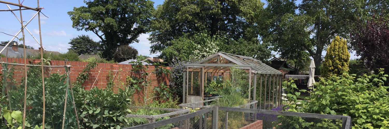 Walnut Kitchen Garden 🌶🫑🌼🍅🥦🌸🫐🍒🌿's banner
