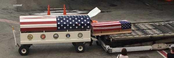 MichelleCFL1 Profile Banner