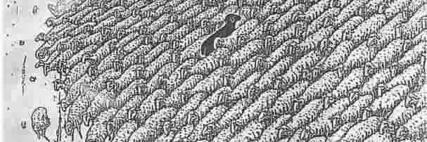 linuxj69's profile banner image