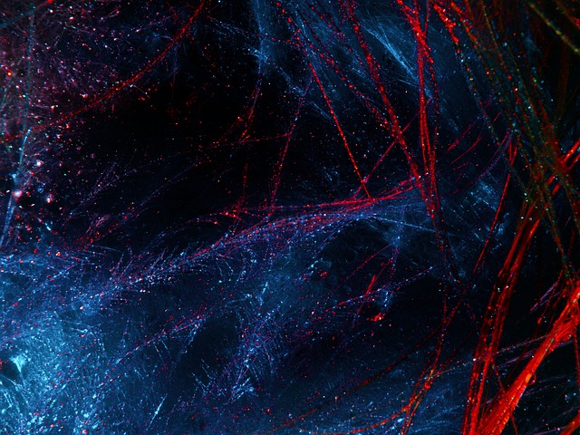 dafengbear's profile banner image
